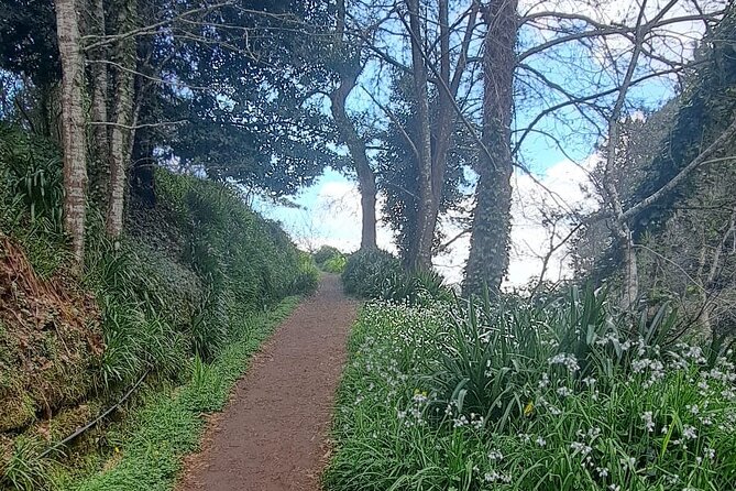 On the Rhythm of a Levada Walk: Madeira cider tasting and lunch - Who Should Book This Madeira Cider and Levada Combo?