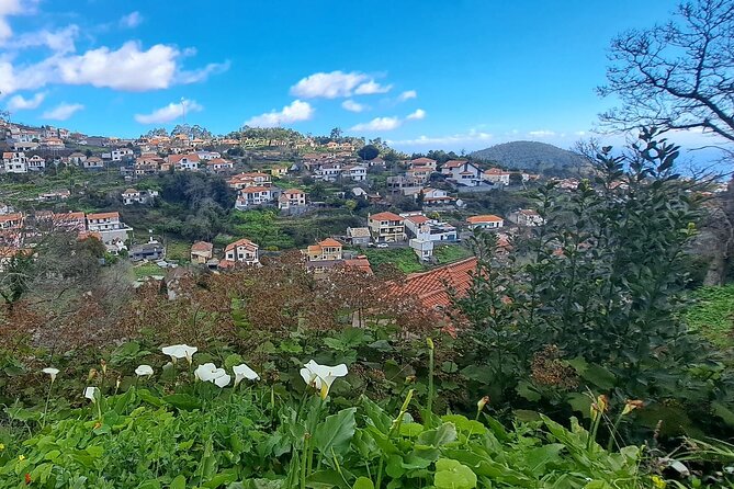 On the Rhythm of a Levada Walk: Madeira cider tasting and lunch - Should You Book On the Rhythm of a Levada Walk?