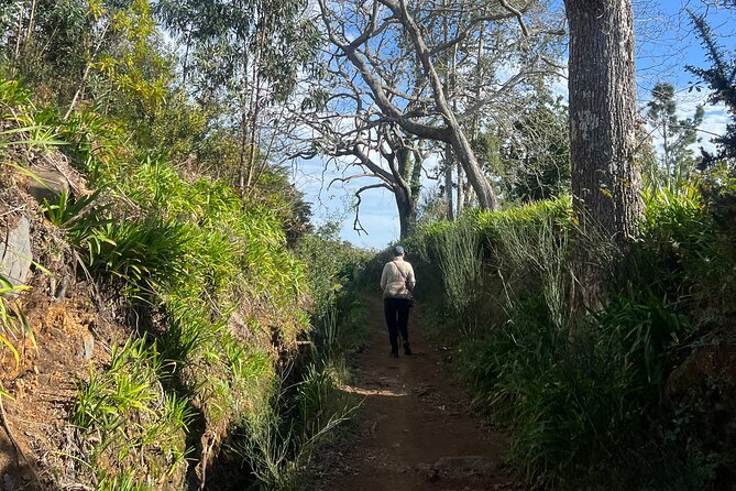 On the Rhythm of a Levada Walk: Madeira cider tasting and lunch - FAQ