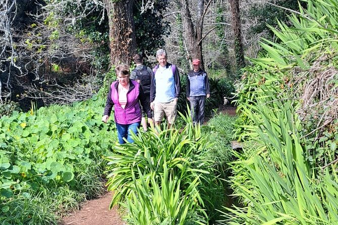 On the Rhythm of a Levada Walk: Madeira cider tasting and lunch - What to Wear and Bring for a Comfortable 4-Hour Day