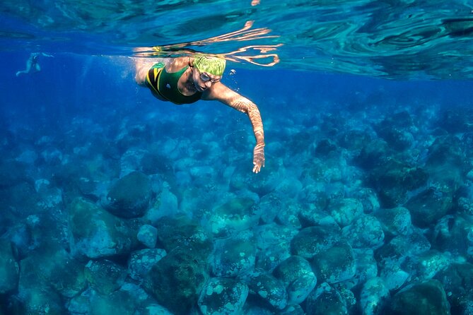Open-Water Swimming in Madeira - Price and value: why $72.29 can be fair for this kind of guiding