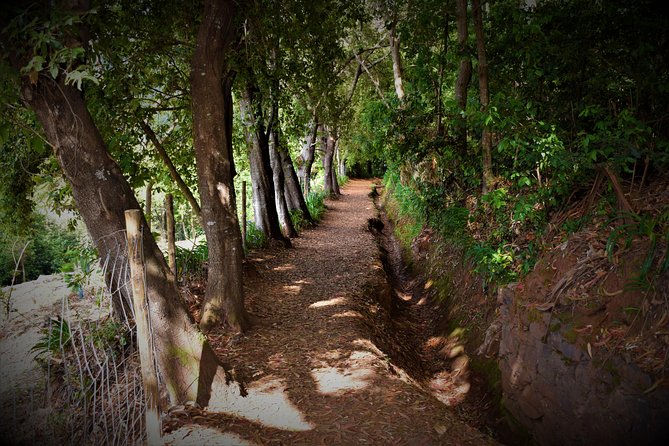 Paradise Valley Beauty Walk - Price and value: is $34.70 per person fair?