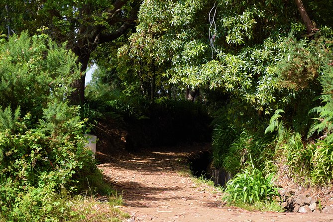 Paradise Valley Beauty Walk - Should you book it or choose another option?