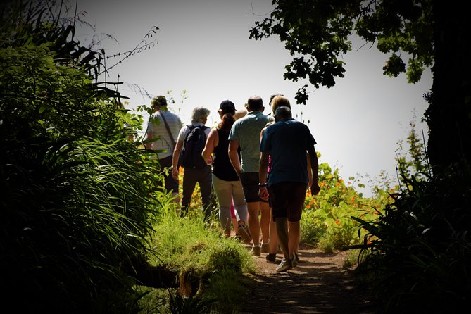 Paradise Valley Beauty Walk - The pace, the guide talk, and the small group size (max 15)
