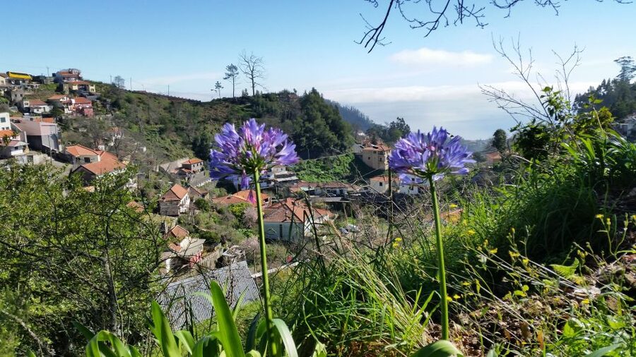 Paradise Valley half-day morning walk. - Key things to look forward to