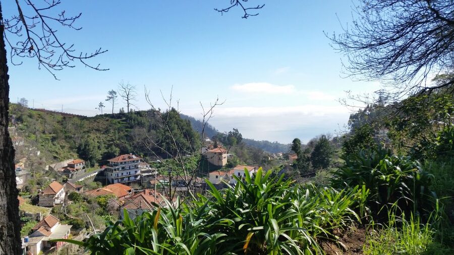 Paradise Valley half-day morning walk. - Walking the Levada corridor: fauna and flora you can actually spot