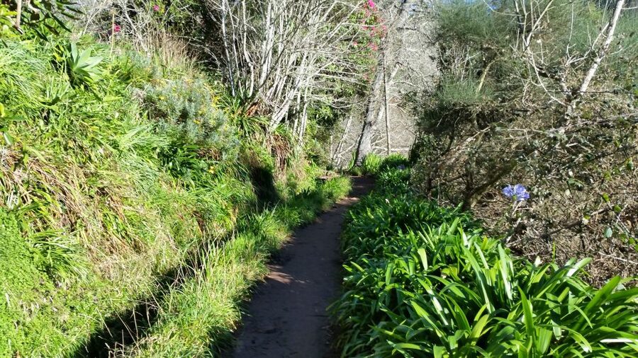 Paradise Valley half-day morning walk. - The actual itinerary feel, from pickup to final drop-off