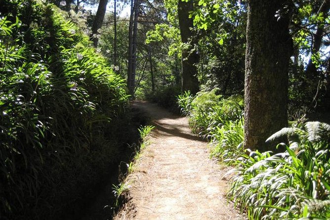 Paradise Valley - Levada Walk - Key things to know before you go