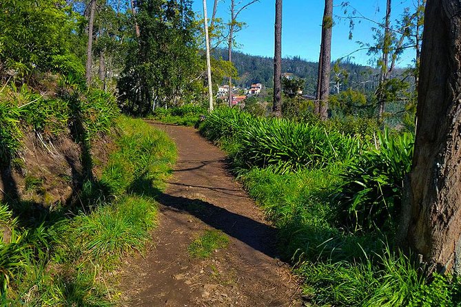 Paradise Valley - Levada Walk - How the morning starts in Funchal, then rises into the greenery