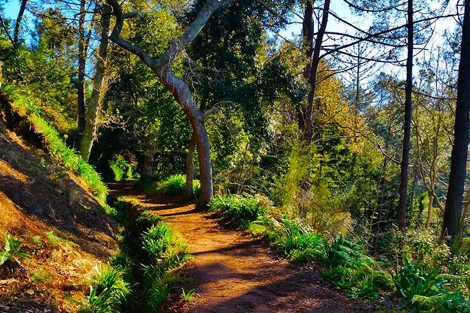 Paradise Valley - Levada Walk - Timing and pacing: how 4 hours fits a Madeira trip