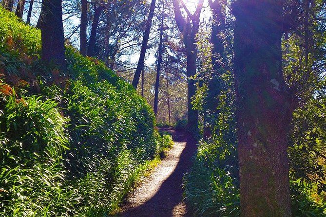 Paradise Valley - Levada Walk - What to wear: grip, dust, and weather that changes fast