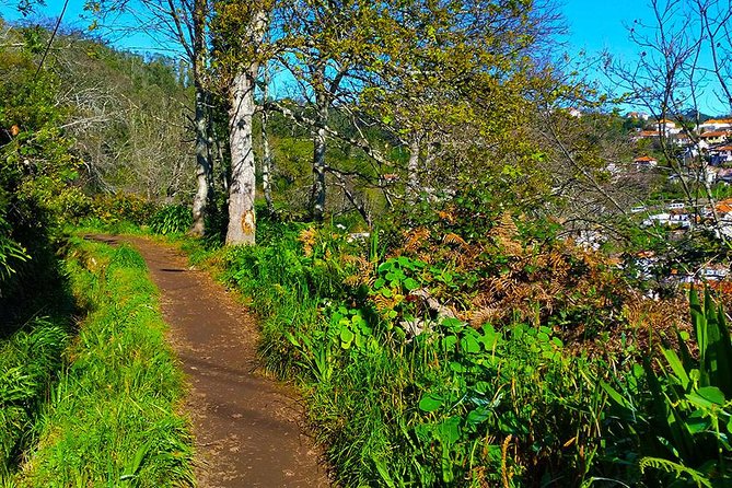 Paradise Valley - Levada Walk - Price and value: $39.54 for a guided levada day