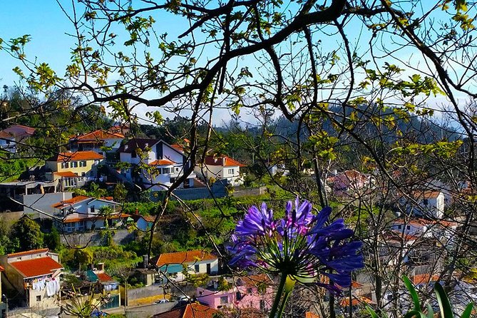 Paradise Valley - Levada Walk - Who this tour is best for, and who may want a harder option