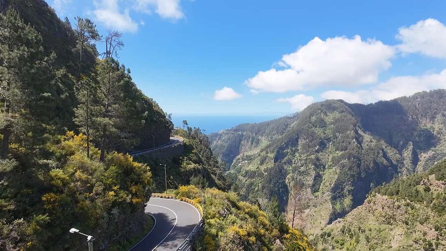 Pico Arieiro, Santana, São Lourenço & more – Full Day+PickUp - Ribeiro Frio levada walk, where the forest does most of the talking