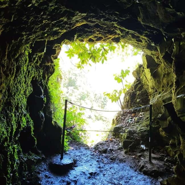 Pico Arieiro, Santana, São Lourenço & more – Full Day+PickUp - Who should book, and who should skip this east-coast plan