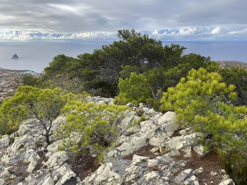 Pico Castelo & Pico Facho Vereda: Walk with Spectacular View - What Your Guide Adds, Including Michael’s Approach