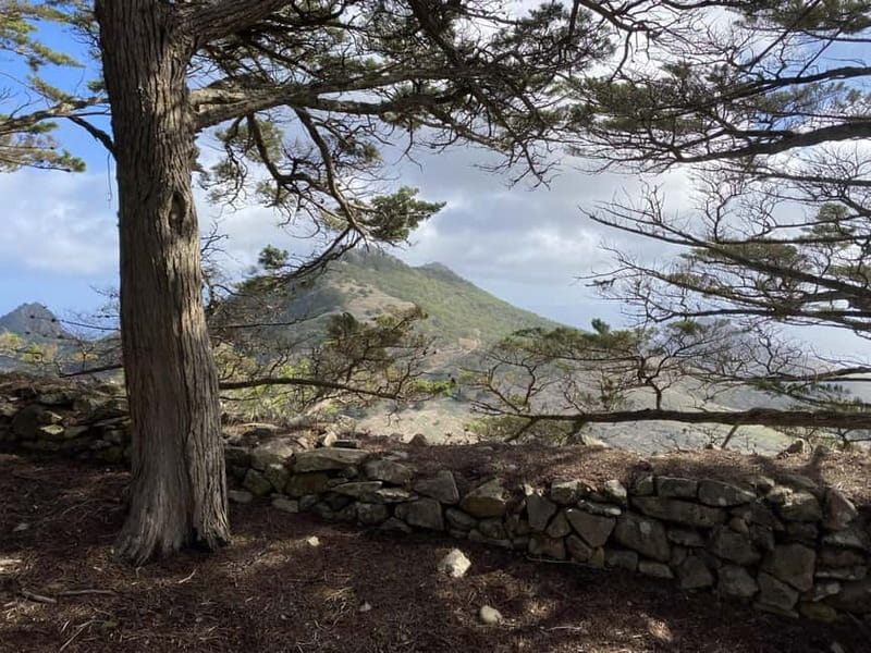 Pico Castelo & Pico Facho Vereda: Walk with Spectacular View - Who This Walk Suits Best on Porto Santo, and Who Should Rethink It