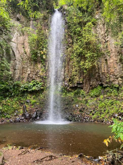 Pico do Areeiro to Ponta São Lourenço: East 4x4 Expedition - Laurissilva by inside-off-road trails, UNESCO forest time in a 4x4