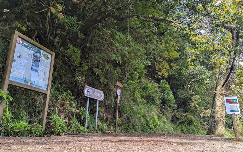 Pico do Arieiro in 4h: Immersive Private Tour - Key Things You Will Actually Care About