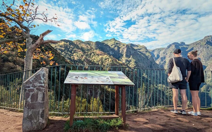 Pico do Arieiro in 4h: Immersive Private Tour - Who This Tour Fits Best