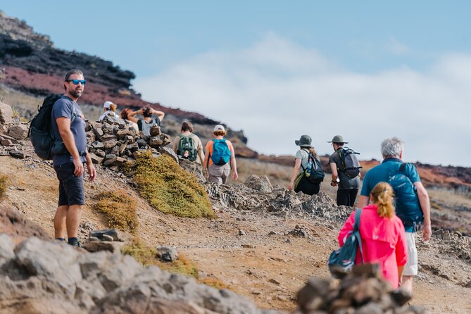 Ponta de São Lourenço (PR 8) - Hiking Tour in Madeira - Guide impact: why names like Daria, Marta, and Fabio keep coming up