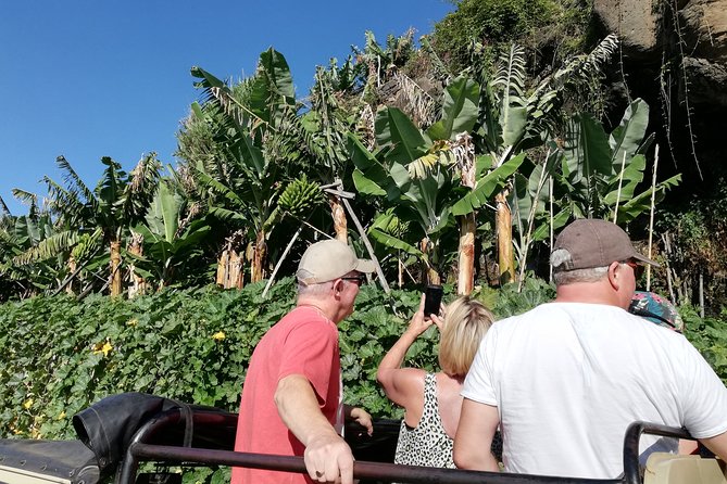 Porto Moniz - Private Full-Day - Safari 4x4 Tour - NorthWest - Focusing the north coast: Ribeira da Janela and viewpoint stops