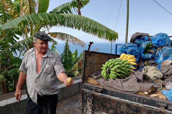 Porto Moniz - Private Full-Day - Safari 4x4 Tour - NorthWest - Price and value for a group of up to four