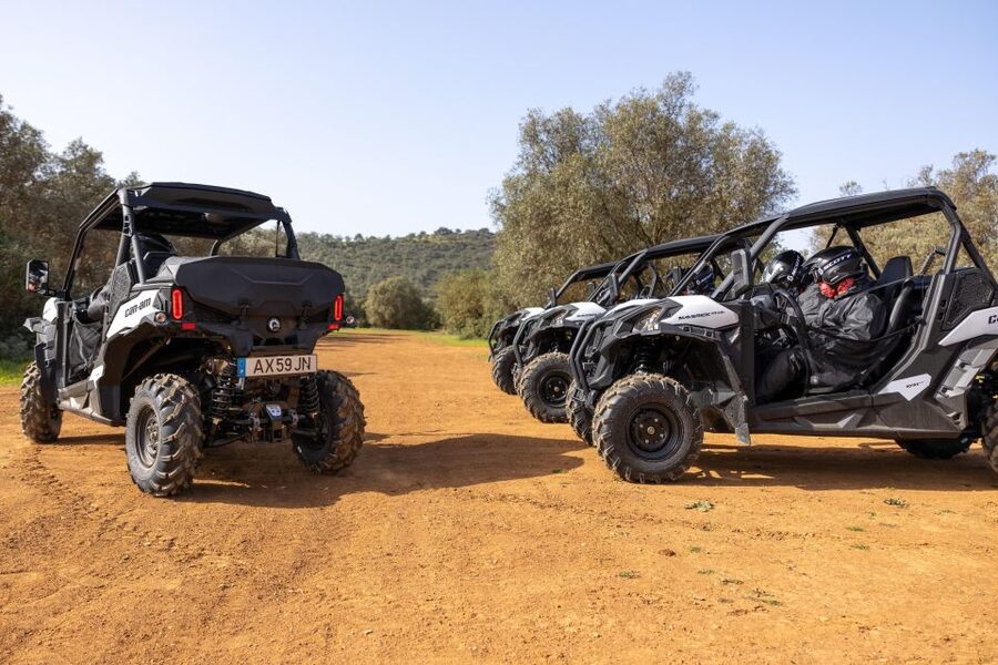 Porto Santo: 180 Minutes Off-Road Buggy Tour - Price and value: is $188 per group up to 2 worth it?