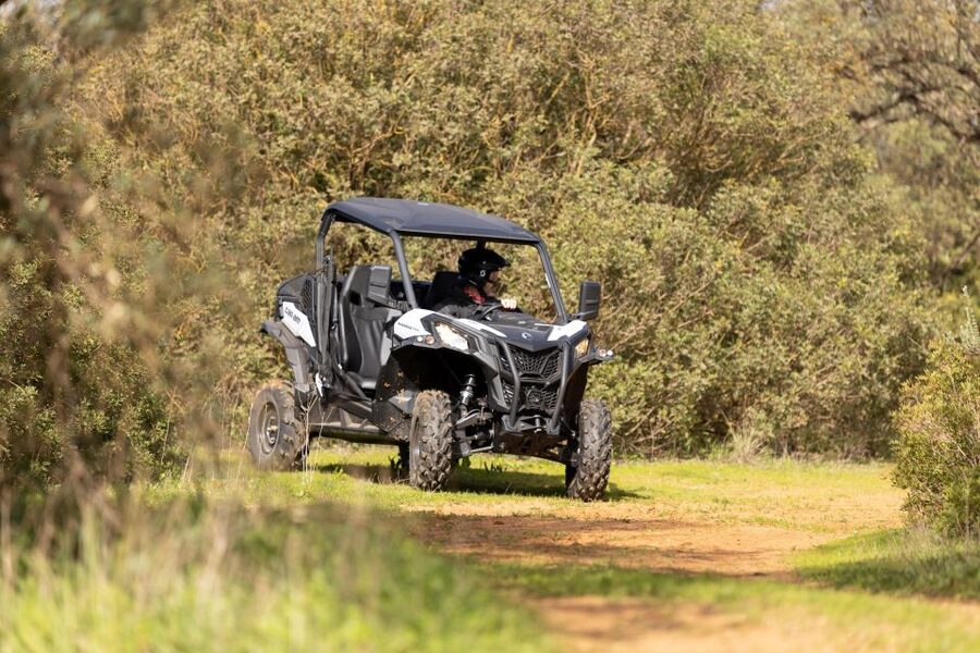 Porto Santo: 180 Minutes Off-Road Buggy Tour - The 180-minute flow: what happens from Miradouro da Portela onward