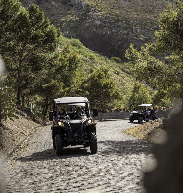 Porto Santo: 90 Minutes Off-Road Buggy Tour - Should you book this Porto Santo off-road buggy tour?