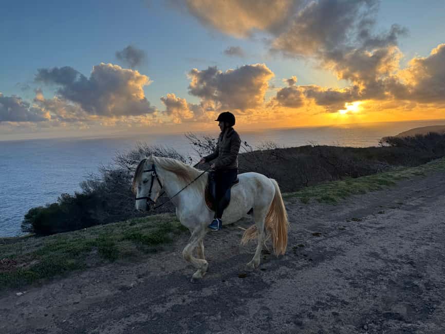 Porto Santo Island: Horse Riding - Key things to know before you go