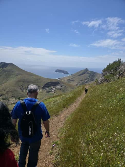 Porto Santo Island: Pico do Facho Panoramic Trail - Endemic plants: the walk is about more than postcards