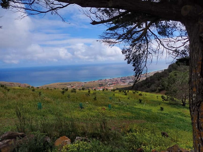Porto Santo Island: Pico do Facho Panoramic Trail - The pace and terrain: gentle loop, all fitness levels