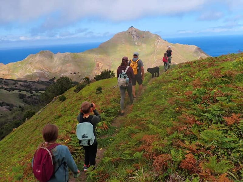 Porto Santo Island: Pico do Facho Panoramic Trail - Pick-up, drop-off, and what the guide actually adds