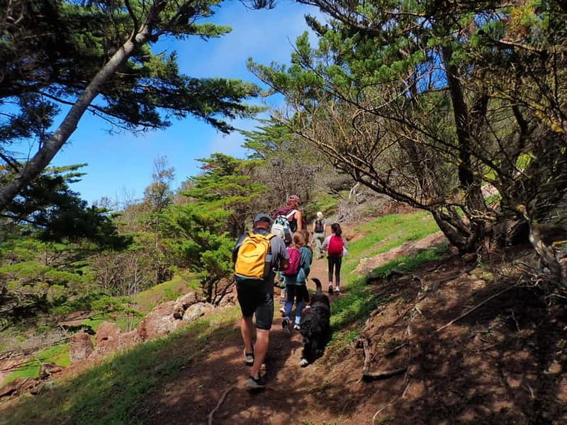 Porto Santo Island: Pico do Facho Panoramic Trail - When you should book this hike