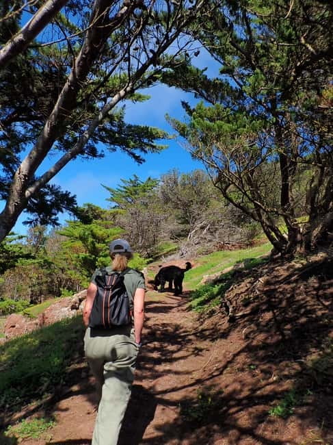 Porto Santo Island: Pico do Facho Panoramic Trail - The views: 360 degrees, and you can actually take it in