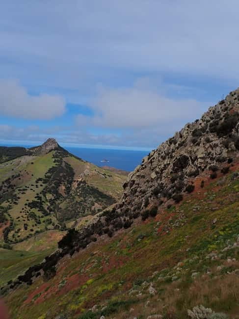 Porto Santo: Terra Chã and Pico Branco Hiking tour - Terra Chã Plateau Walking, Silence, Fresh Air, and Unexpected Green