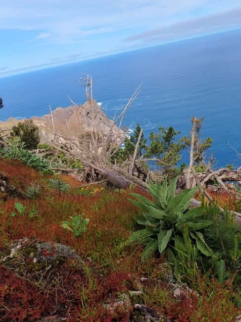 Porto Santo: Terra Chã and Pico Branco Hiking tour - Quick Practical Tips Before You Book