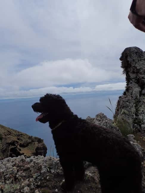 Porto Santo: Terra Chã and Pico Branco Hiking tour - The Ascent to Pico Branco, Rugged Cliffs and Deep Ocean Views