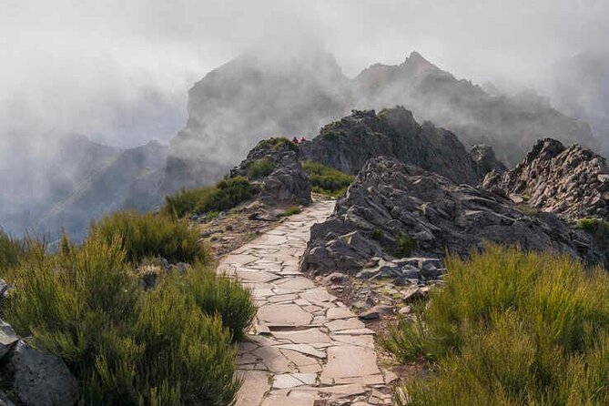 PR1 Pico do Arieiro Self-Guided Hiking Transfer (Morning slot) - End at Funchal Ecological Park: donkeys, a warm drink, and decompression time