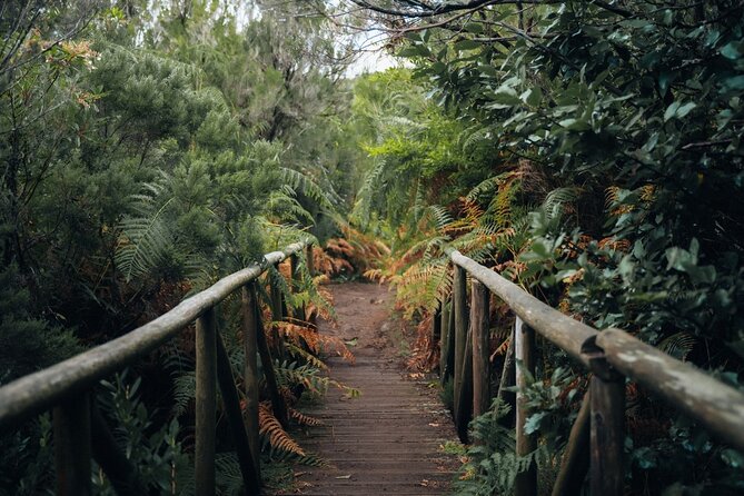 PR13 Vereda do Fanal Mystical Self-Guided Hiking with Transfer - Weather, trail access, and staying flexible