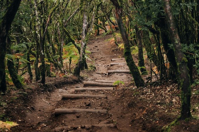 PR13 Vereda do Fanal Mystical Self-Guided Hiking with Transfer - Your PR13 route, explained in real-world terms