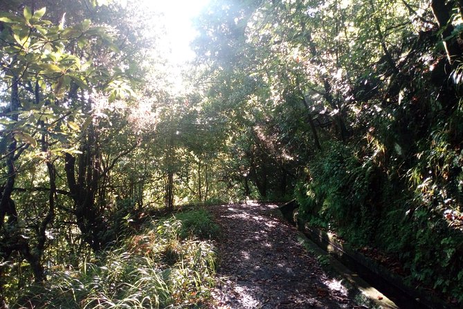 PR18 Levada do Rei with Local Guide - Key highlights worth your time