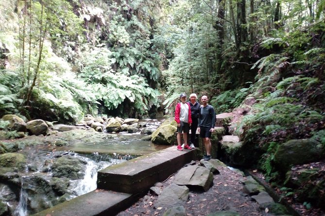 PR18 Levada do Rei with Local Guide - Getting to Levada do Rei, without the Funchal stress
