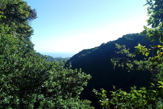 PR18 Levada do Rei with Local Guide - Levada do Rei in real life, forests, water, and long views