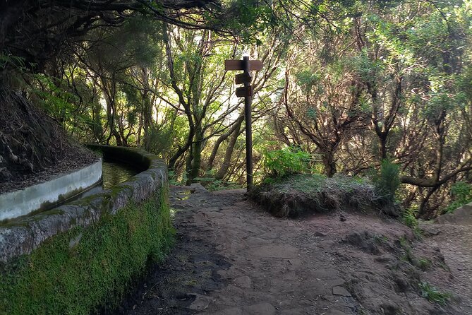 PR6 25 Fountains/Risco Levada Walk - What’s included, and why it matters more than you think