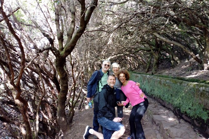 PR6 25 Fountains/Risco Levada Walk - Timing, weather, and practical expectations for a Madeira walk