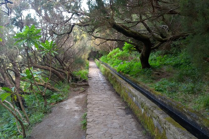 PR6 25 Fountains/Risco Levada Walk - Levada das 25 Fontes and Risco: where the waterfalls and views do the work
