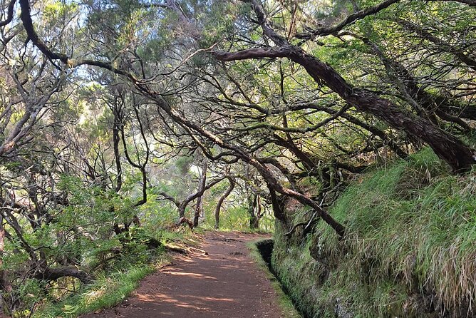 PR6 & PR6.1 25 Fontes & Risco Levada Self-Guided Hiking Rabaçal - Key Highlights You’ll Feel on the Trail
