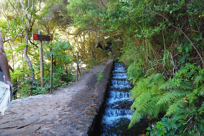 PR6 & PR6.1 25 Fontes & Risco Levada Self-Guided Hiking Rabaçal - Stop 1: 25 Fontes and Cascada da Risco, Where Weather Changes the Mood